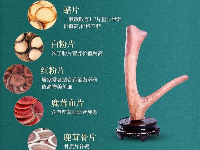 亿丰厂家货源鹿产品泡酒煲汤头茬鹿茸半腊片散装好品送礼之选泡酒图3