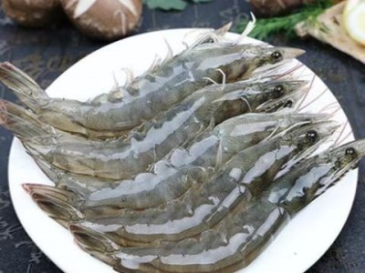 渔虾贝海珍品鲜活冷冻青岛大基围虾整箱新鲜对虾海虾活虾大虾批发图3