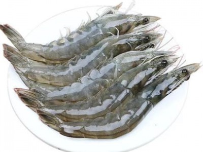 渔虾贝海珍品鲜活冷冻青岛大基围虾整箱新鲜对虾海虾活虾大虾批发图5