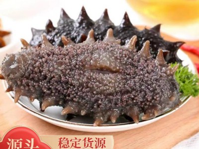 厂家批发大连即食海参鲜食海参辽刺参非干货500g礼盒海生鲜活速食图2