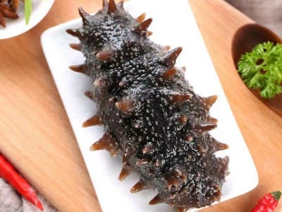 厂家批发大连即食海参鲜食海参辽刺参非干货500g礼盒海生鲜活速食图4