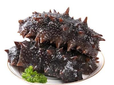 厂家批发大连即食海参鲜食海参辽刺参非干货500g礼盒海生鲜活速食图5