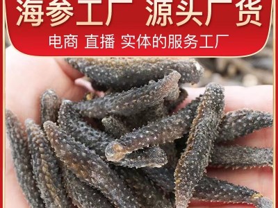 瑜真福淡干海参小黑刺印尼刺参速发泡发批发非即食海参图5
