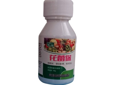 花蕾保促控剂 安全控旺 保花芽分化 调节生长保花保果叶面肥50克图3
