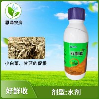 好鲜收生根剂生根液植物扦插用发根小白菜壮苗营养液快生根农肥