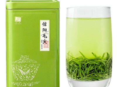 毛尖茶叶春茶信阳毛尖2023新茶雨前嫩芽散装250g绿茶图4