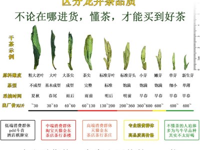 2023新茶杭州厂家货源绿版龙井茶龙井43号品种散茶批发炒青绿茶叶图2