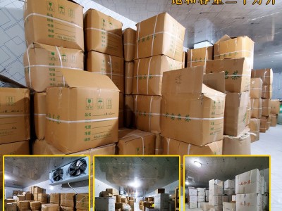 2023新茶杭州厂家货源绿版龙井茶龙井43号品种散茶批发炒青绿茶叶图3