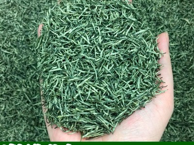 2023年新茶送礼云雾炒青散装绿茶茶叶批发信阳工艺御信尖毛尖茶图3