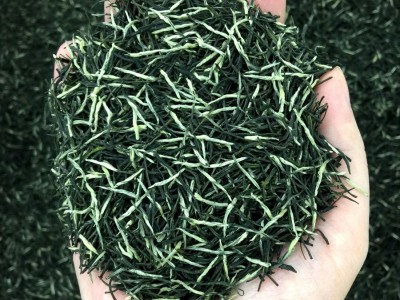 2023年新茶送礼云雾炒青散装绿茶茶叶批发信阳工艺御信尖毛尖茶图5