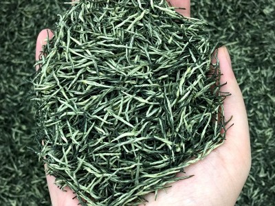 2023年新茶送礼云雾炒青散装绿茶茶叶批发信阳工艺御信尖毛尖茶图4