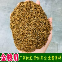 武夷山源头茶厂2023茶叶 红茶批发桂圆香蜜香散装黄芽金骏眉特级