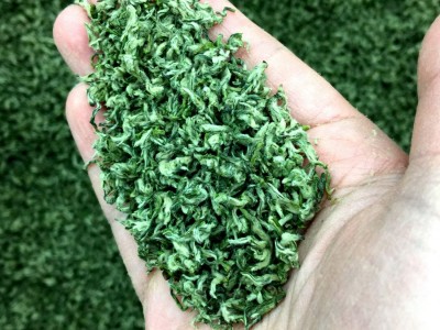 茶叶2023年新绿茶批发高山洞庭工艺云雾散装送礼花果香碧螺春苏州图3