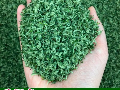 茶叶2023年新绿茶批发高山洞庭工艺云雾散装送礼花果香碧螺春苏州图2