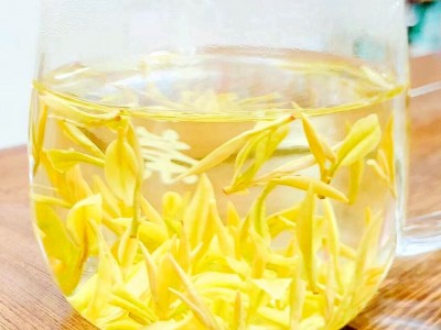 送礼2023年新茶春茶叶绿茶批发散装安吉工艺艾达福浙江黄金芽白茶图4