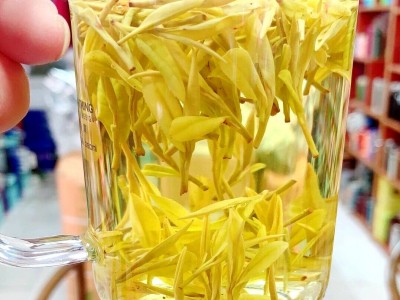 送礼2023年新茶春茶叶绿茶批发散装安吉工艺艾达福浙江黄金芽白茶图5