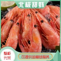 亿九合 冰岛进口 北极甜虾 肉质新鲜肥美 熟冻 解冻即食 批发  价格面议