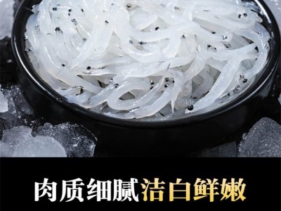 朋兴汇大量批发鲜活速冻银鱼 现场加工银鱼干常年供应图2