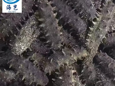 大连海参 淡于辽参 大礼盒水产批发礼盒装东山岛特产500g/盒包邮图2