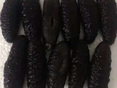 水发海参冷冻水产品1斤/包6-13头 可刺身解冻即食海参图2