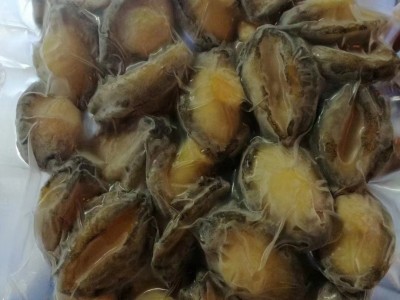 活煮鲍鱼肉 品质保证广州现货规格齐全单冻半熟水产品批发图5