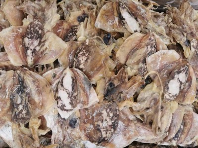 新货东海淡干咸小墨鱼干海产品 目鱼干货乌贼干墨鱼500克袋装图1