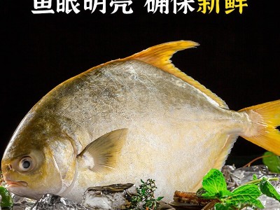 咨询 客服 手机 下单 采购车 意见 反馈 特大金鲳鱼批发鲜活冷图5