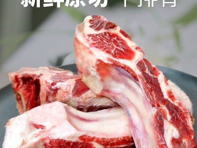安格斯谷饲牛肋条雪花牛肋条 长肋条短肋条西冷肋条餐饮货源批发图4