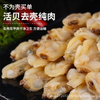 花甲肉蛤蜊肉去壳无沙新鲜花蛤鲜冻大黄蚬子杂蛤蛤蜊肉厂家批发