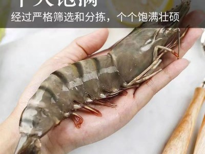 冰鲜黑虎虾冷冻超大特大号大虾新鲜冷冻特大老虎虾水产冻货图2
