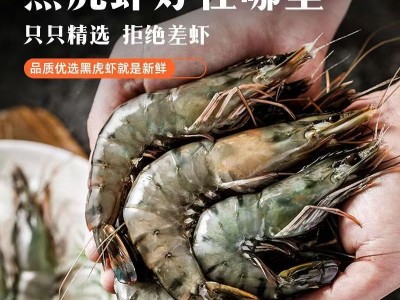 冰鲜黑虎虾冷冻超大特大号大虾新鲜冷冻特大老虎虾水产冻货图3