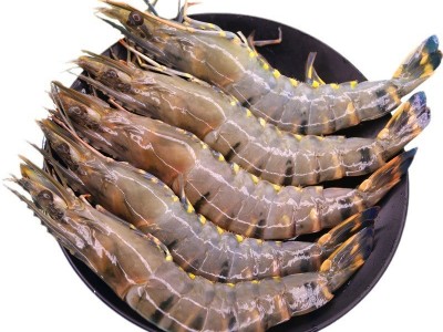 冰鲜黑虎虾冷冻超大特大号大虾新鲜冷冻特大老虎虾水产冻货图5