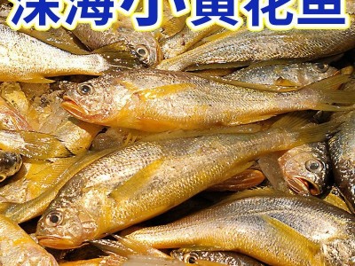 海捕冰鲜小黄鱼新鲜冷冻黄花鱼整箱海鲜海鱼批发水产冻货500g图2