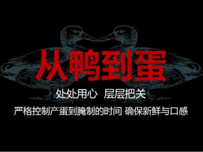 五芳斋70克*20 真空985咸鸭蛋礼盒正品咸鸭蛋坏蛋包赔图1