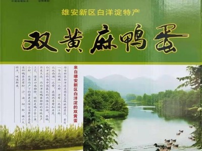 咸鸭蛋双黄麻鸭蛋 个大黄大流油海鸭蛋 食用农产品图2
