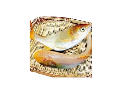 厂家直销金大头鱼苗黄金花鲢鱼苗淡水控制水质吃藻观赏养殖图5
