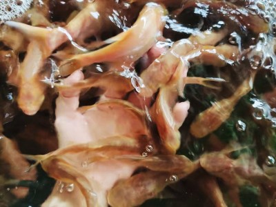 厂家直销金大头鱼苗黄金花鲢鱼苗淡水控制水质吃藻观赏养殖图3