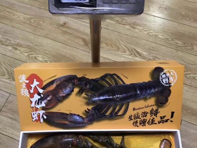 加拿大生冻冰鲜波士顿龙虾大龙虾 特大波龙奥龙3斤左右/只 礼盒装图5