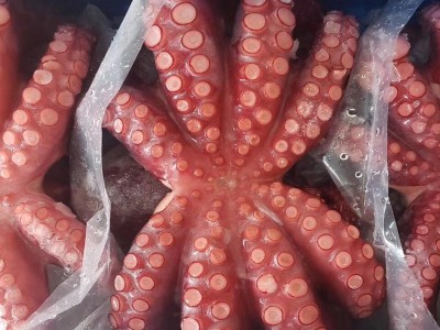 整箱批发熟冻大八爪鱼 冻煮章鱼花 熟冻大章鱼 日本料理刺身图2