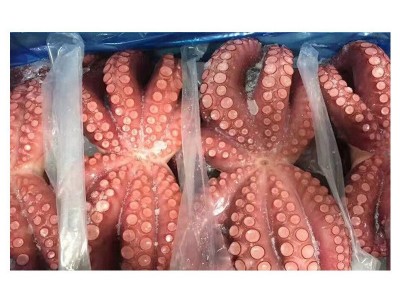 整箱批发熟冻大八爪鱼 冻煮章鱼花 熟冻大章鱼 日本料理刺身图4