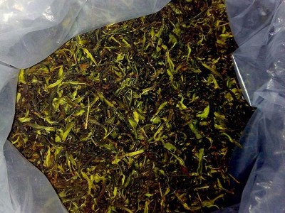 单枞茶清香凤凰单枞茶散装 潮州凤凰单丛茶雪片大乌叶茶叶鸭屎香图4