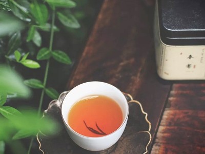 潮汕凤凰赤叶单枞茶清香潮州乌岽岭头单丛乌龙茶散装鲜嫩茶叶批发图3