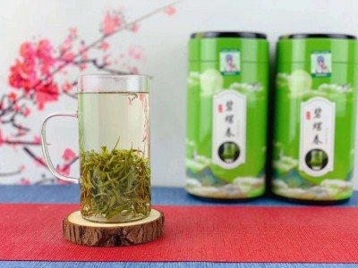 碧螺春2023年新茶 苏州碧螺春茶叶春茶绿茶批发图4