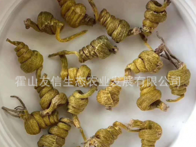 厂家批发霍山米斛枫斗6年铁皮鲜条石斛原产地直发自产自销霍山斛图5