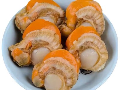 六包装顺丰包邮超大扇贝肉2040海鲜冷冻水产批发无沙现剥餐饮商用图5