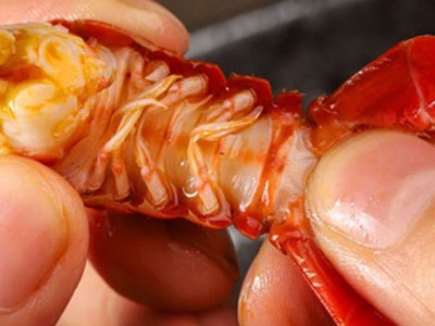 麻辣龙虾尾熟食加热即食海鲜批发鲜香去头小龙虾整箱虾球餐饮商用图4