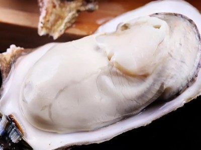 顺丰包邮乳山生蚝新鲜乳山带壳牡蛎特大肥海蛎子海鲜贝类水产批发图2