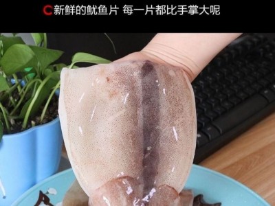 新鲜速冻单冻【白鱿鱼片】鱿鱼身鱿鱼筒隆云鱿鱼尾 烧烤食材海鲜图2
