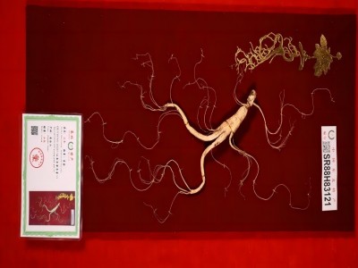 林下参长白山礼盒东北特产高龄人参礼盒批发零售送礼高档礼盒装图3