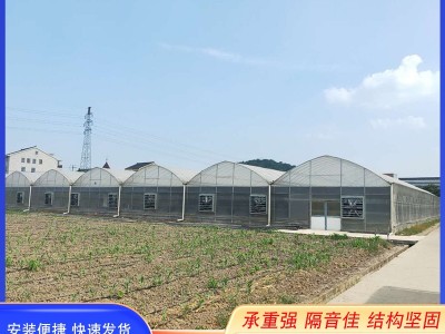 连栋大棚外遮阳内保温农业大棚现货厂家供应园林花卉草莓连栋大棚图3